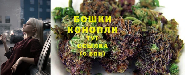 спиды Елабуга