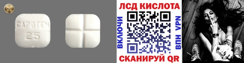 hydra tor  Грязи  Лсд 25 экстази ecstasy 